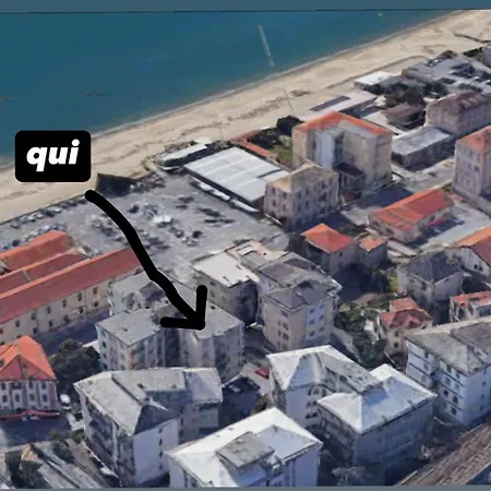 Sealavie * Savona